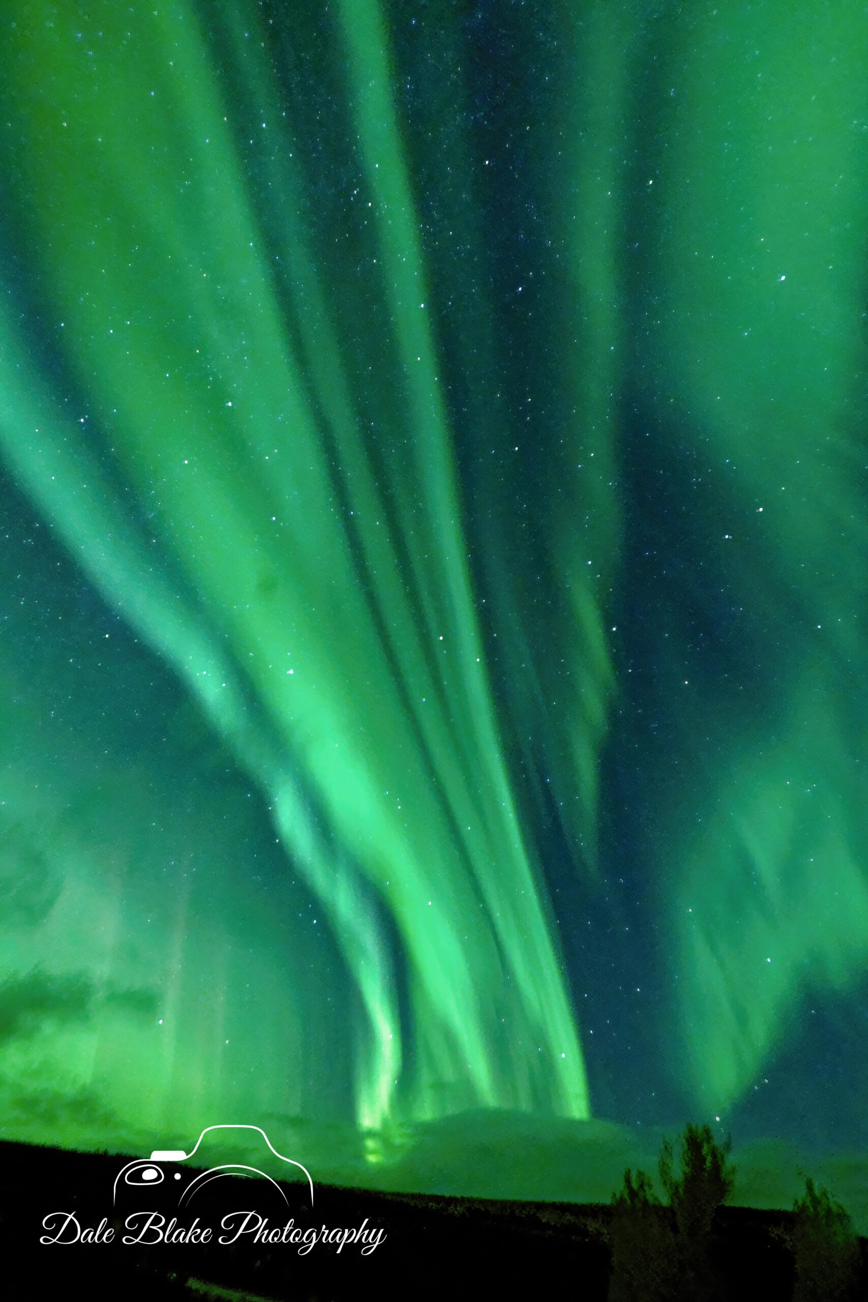 DSC_6455_Alaska Aurora 1-min
