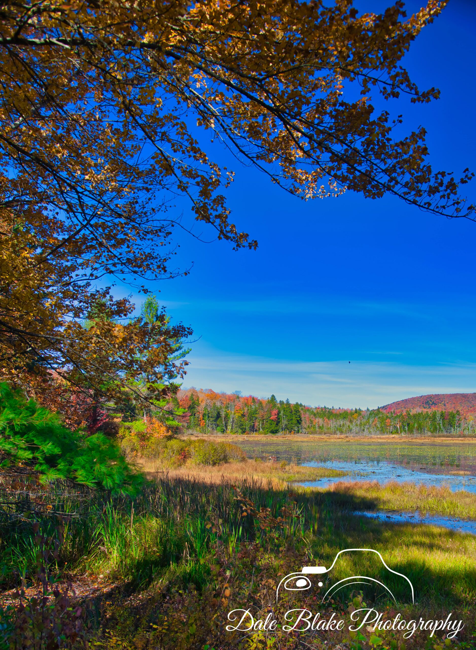 DSC_9382-Vermont Lake-min
