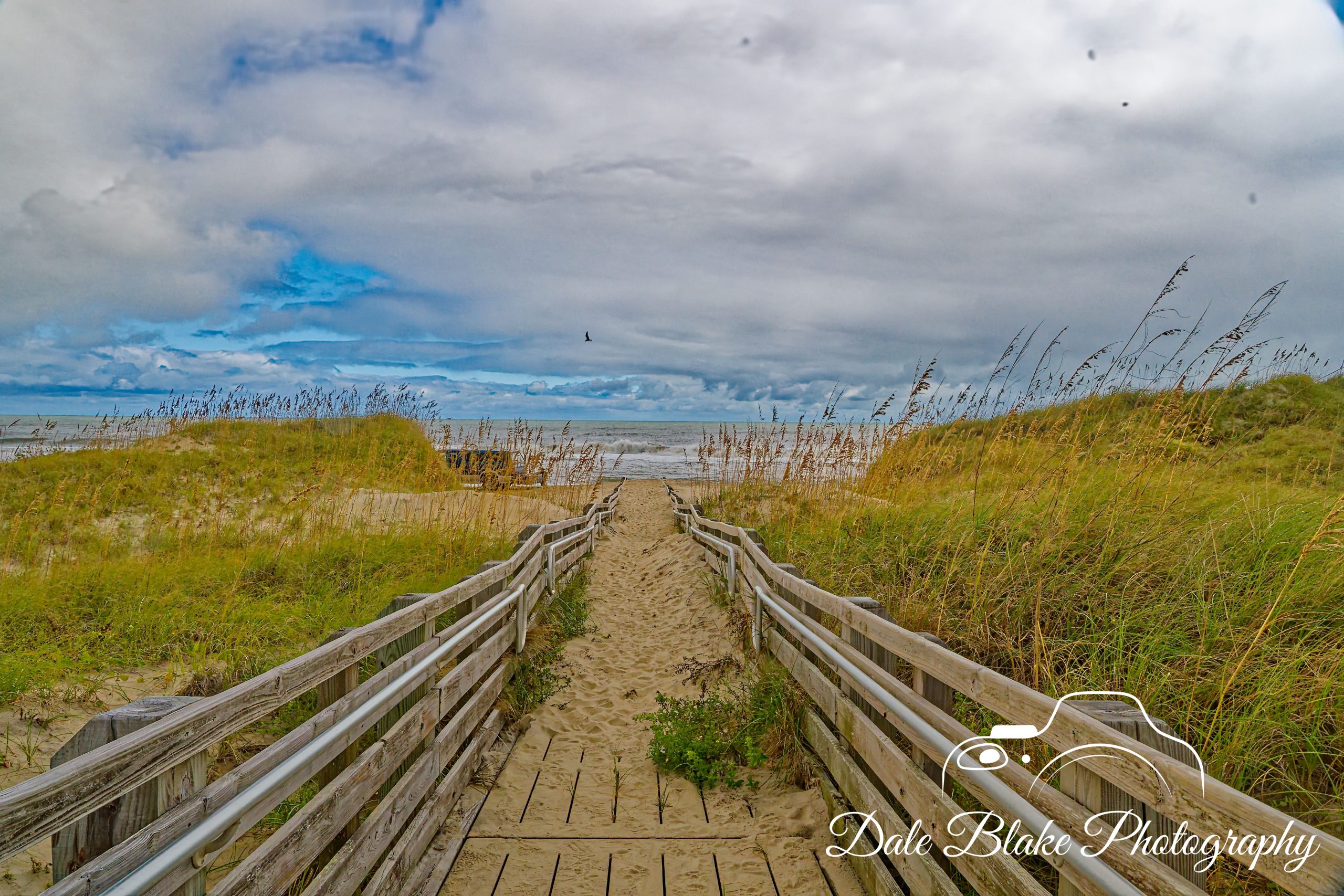 Pathways 10